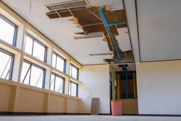 Best Fire Damage Restoration  in Jersey Shore, PA