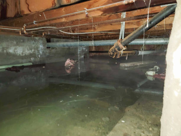 Best Residential water damage restoration  in Jersey Shore, PA
