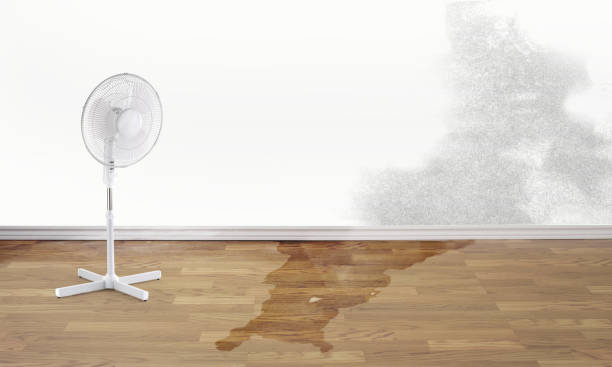 Best Water damage restoration near me  in Jersey Shore, PA