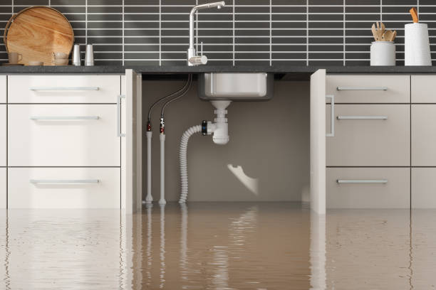 Best Water damage restoration near me  in Jersey Shore, PA
