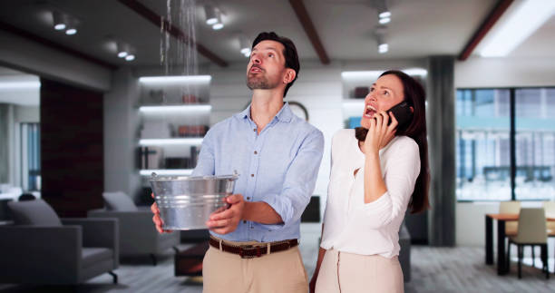 Best Fire Damage Restoration  in Jersey Shore, PA