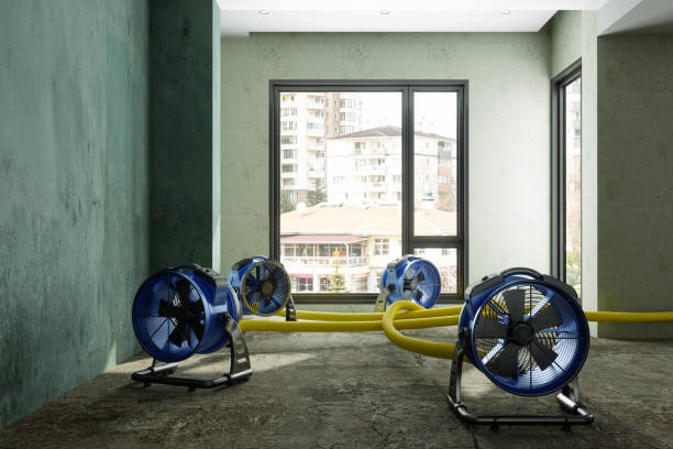 Best Basement water damage restoration  in Jersey Shore, PA